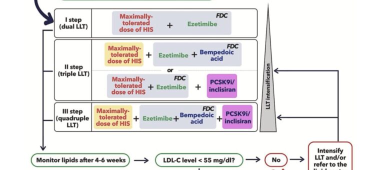 Lipid management for primary and secondary stroke prevention consensus paper of the International Lipid Expert Panel (ILEP)