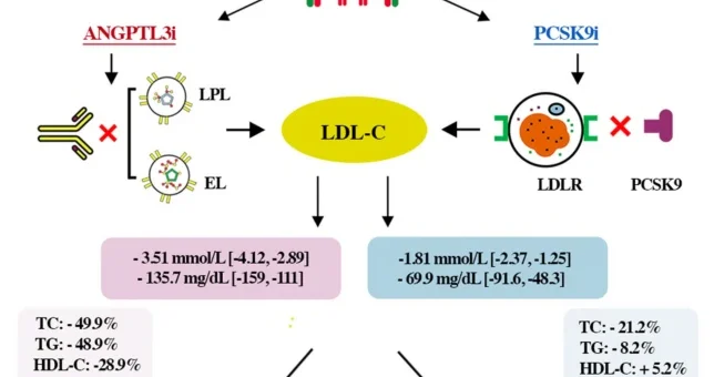 PCSK9 and ANGPTL3 Inhibitors in Homozygous Familial Hypercholesterolemia: A Meta‑analysis of Randomized Clinical Trials